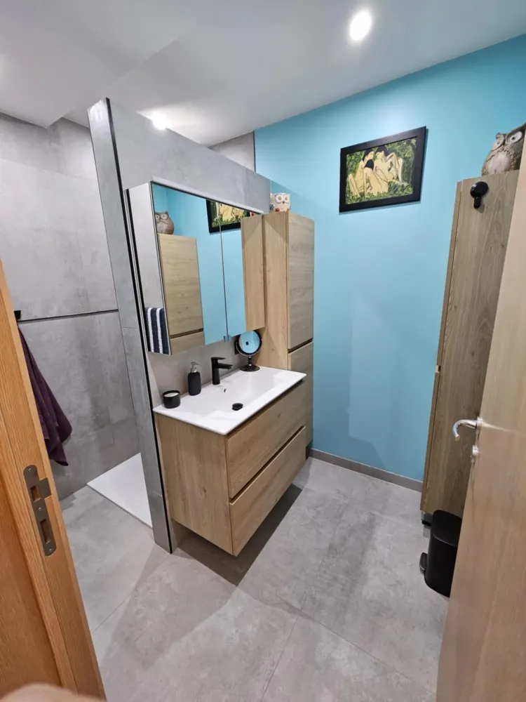  l’installation et l’entretien de vos sanitaires webp